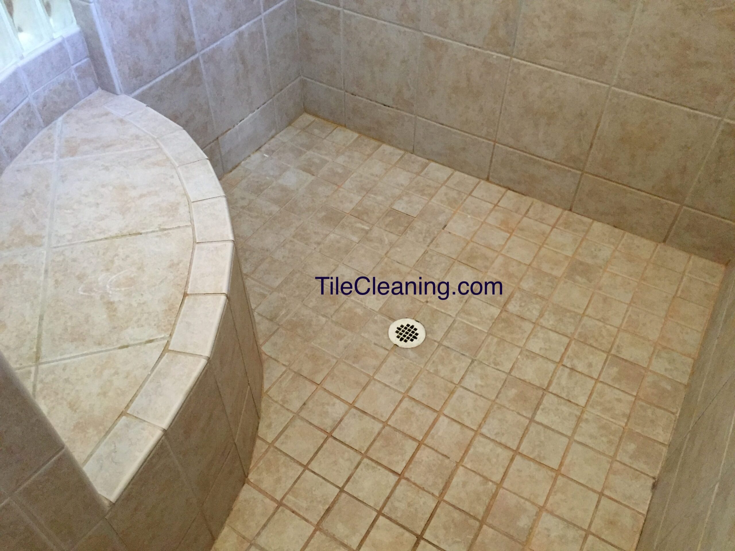 Tile Shower Before Cleaning